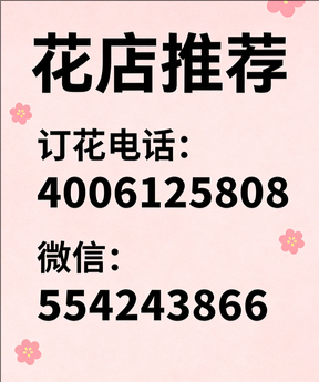 济源市北海街道花店哪家好
