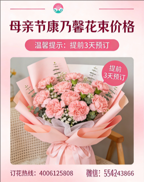 济源市北海街道花店母亲节康乃馨花束