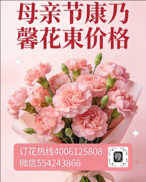 济源市北海街道花店母亲节康乃馨花束
